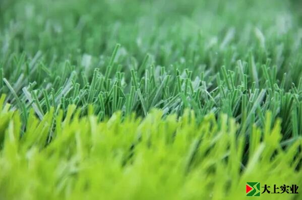 足球場草坪細(xì)節(jié)