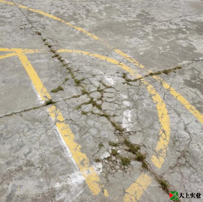 籃球場地面已開裂，并長出雜草。