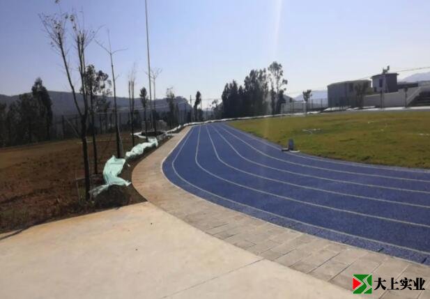 塑膠運(yùn)動(dòng)場(chǎng)建成后照片