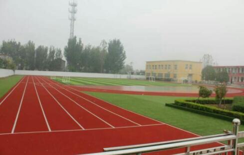 大束鎮(zhèn)中心小學運動場