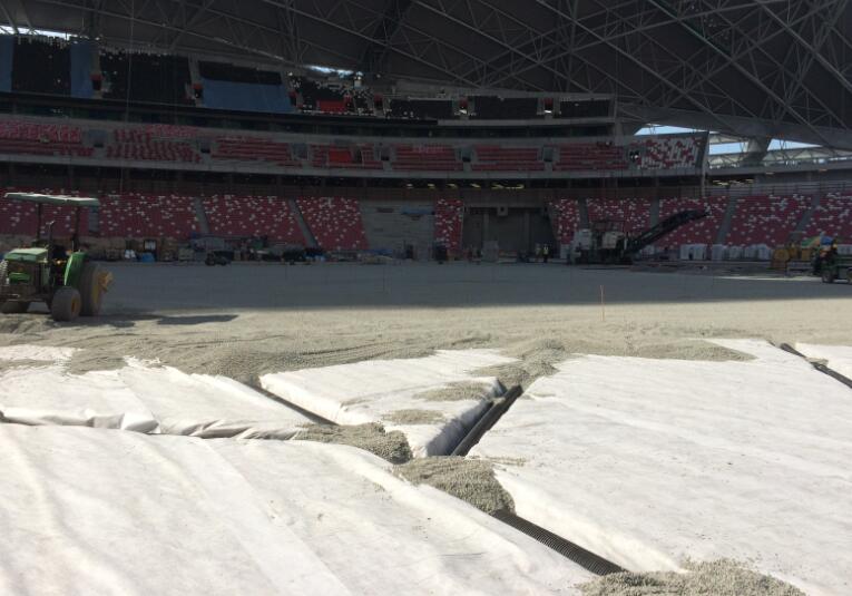 足球場(chǎng)草坪種子種植