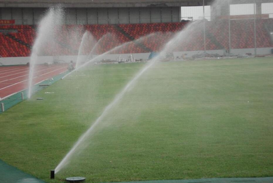 足球場(chǎng)天然草養(yǎng)護(hù)