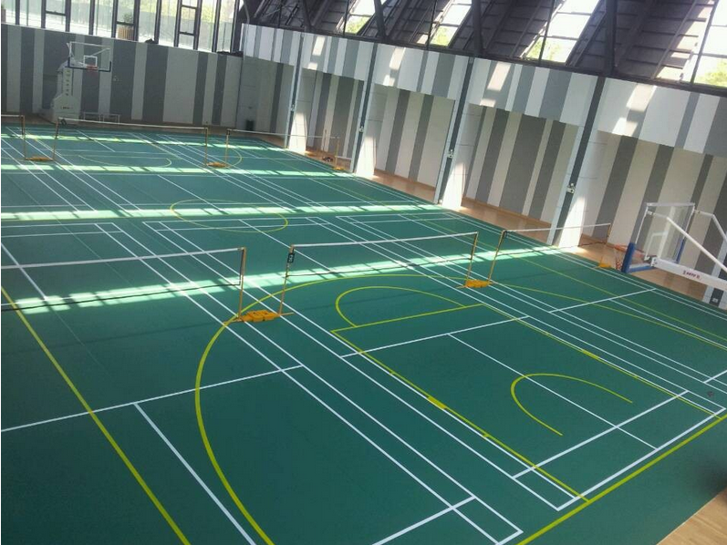 大上實業(yè)羽毛球場館